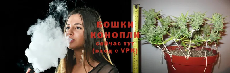 Бошки марихуана VHQ  где найти наркотики  Коркино 